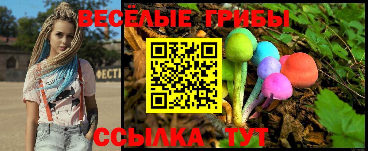 Галлюциногенные грибы прущие грибы  Вход с VPN  Псилоцибиновые грибы Psilocybine cubensis  Алексин 