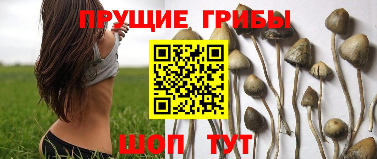 Галлюциногенные грибы мухоморы Алексин